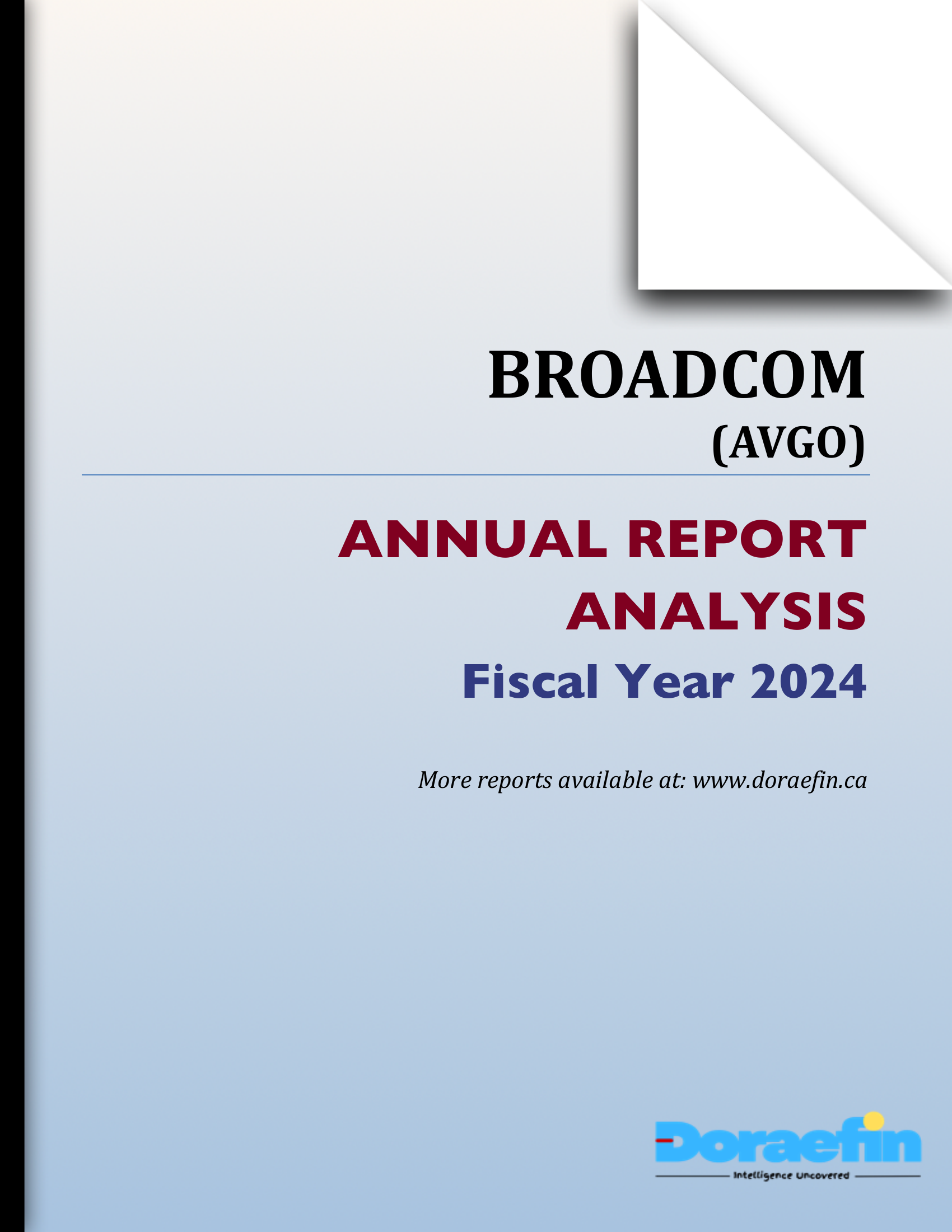 Broadcom, Annual analysis, FY2024